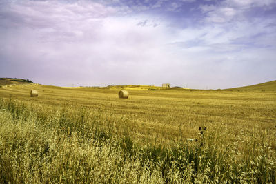 Scenic view of agricultural field against sky