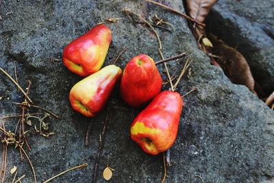 High angle view of tomatoes on rock