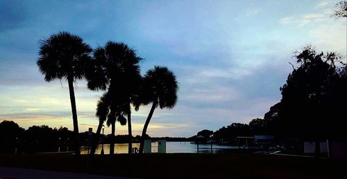 Silhouette of palm trees at sunset