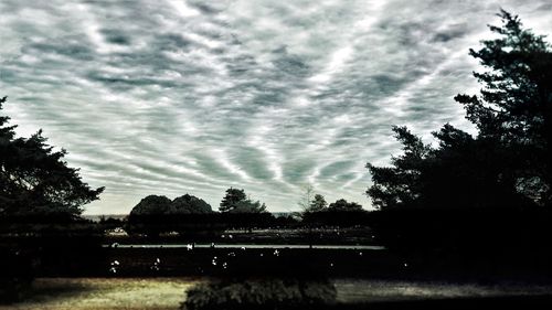 Trees against cloudy sky