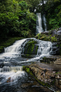 Scenic view of mclean falls waterfall in forest