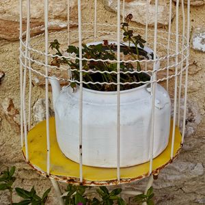 High angle view of potted plant on field