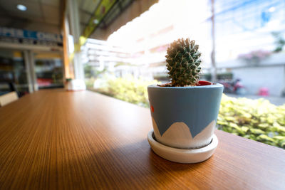 Close-up of potted plant on table