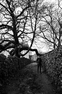 Rear view of man walking on footpath