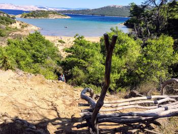 High angle view of trees by sea against sky