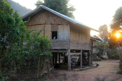 Wooden house amidst trees and plants against sky