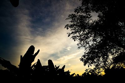 Low angle view of silhouette trees against cloudy sky