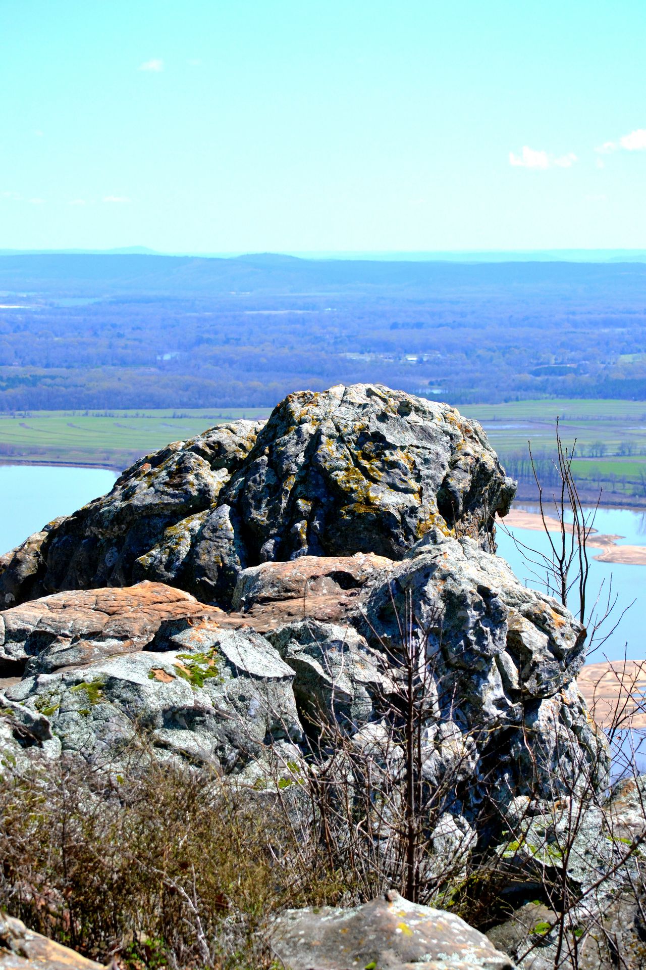 Arkansas beauty