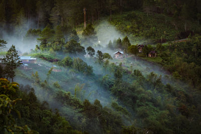 High angle view of waterfall in forest