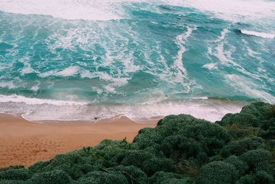 High angle view of beach by trees