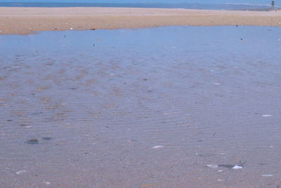 High angle view of beach