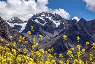 Scenic view of snowcapped mountains against sky