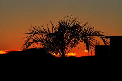 Silhouette palm tree against romantic sky at sunset