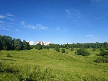 Panoramic shot of trees on field against sky