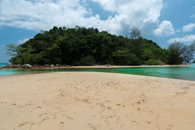 Scenic view of beach against sky