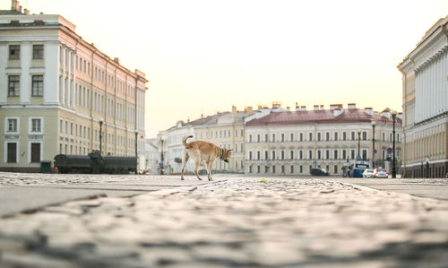 View of street and buildings against clear sky