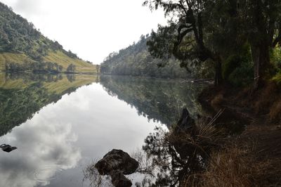 Scenic view of lake by trees against sky