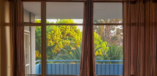 Plants seen through window of house