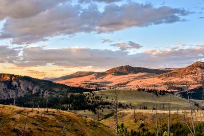 Scenic view of field against sky during sunset