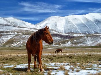 Snowy landscape with snowcapped mountains in background