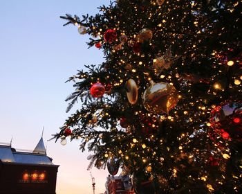 Low angle view of illuminated christmas tree by building against sky