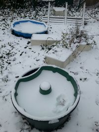 Close up of white flowers