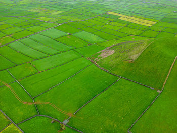 Full frame shot of soccer field