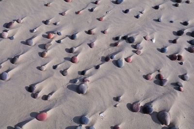 High angle view of stones on sand