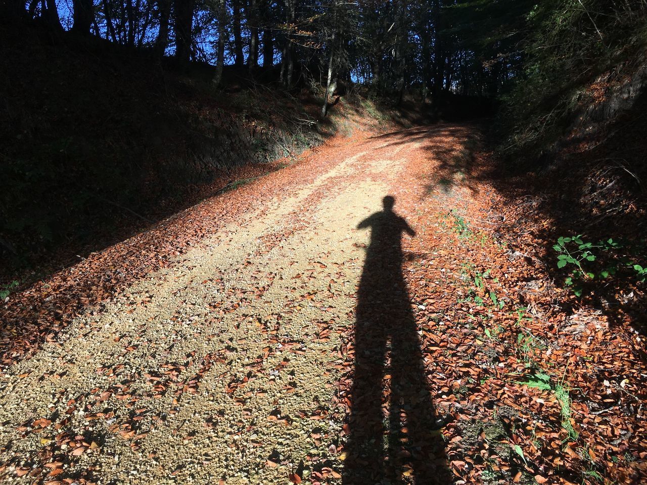 SHADOW OF PERSON ON FIELD