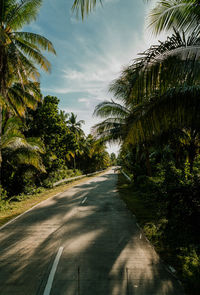 Empty road along trees and plants against sky