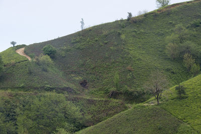 Scenic view of landscape against clear sky