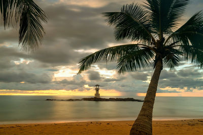 Palm trees on beach against sky during sunset