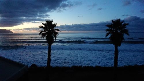 Silhouette palm trees on beach against sky during sunset