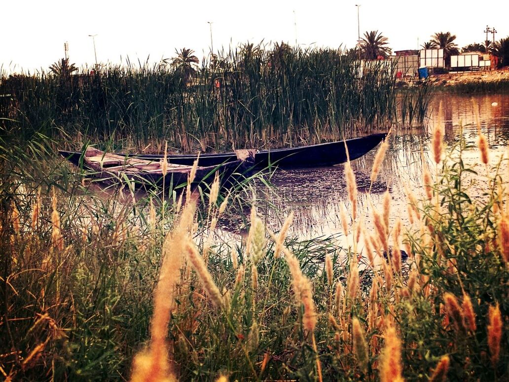 grass, water, plant, nature, growth, field, built structure, outdoors, sunlight, sky, lake, tranquility, grassy, clear sky, sunset, no people, wood - material, reflection, day, building exterior