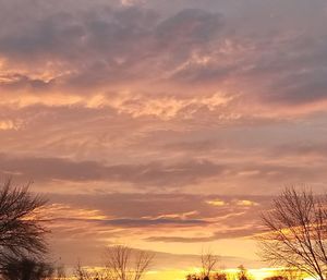 Low angle view of silhouette trees against sky at sunset