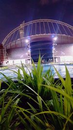 View of plants growing on field against sky