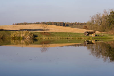 Reflection of trees in water