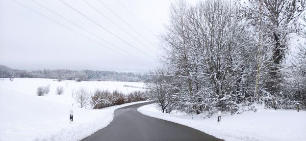 Snow covered plants by trees against sky