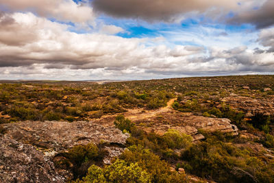 Scenic view of landscape against sky