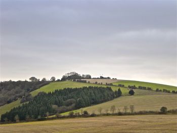 Scenic view of landscape against sky