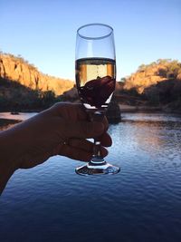 Close-up of hand holding wine glass against sky
