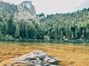 Scenic view of lake and mountains