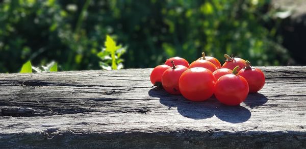 Close-up of tomatoes on a wooden plank