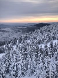 Scenic view of snow covered landscape during sunset