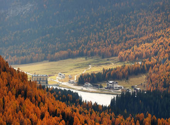 Scenic view of landscape during autumn