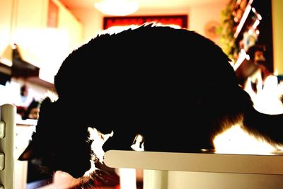 Close-up of illuminated lamp