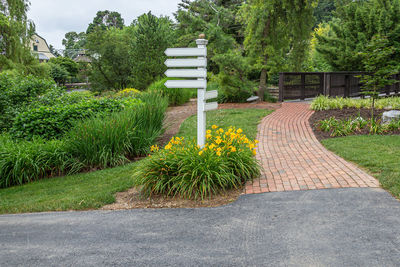 View of plants growing in garden