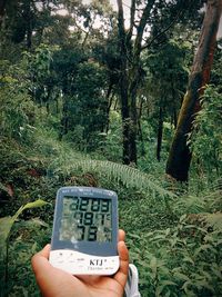 Midsection of person holding mobile phone by trees