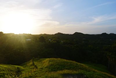 Scenic view of field against sky during sunset