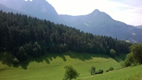 Scenic view of green landscape and mountains against sky